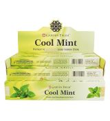 Vonné tyčinky Cool Mint 15g